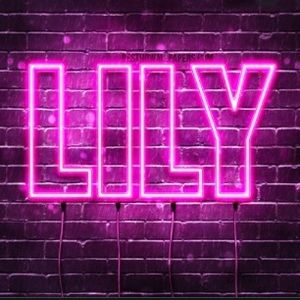 Meet your Posher, Lily